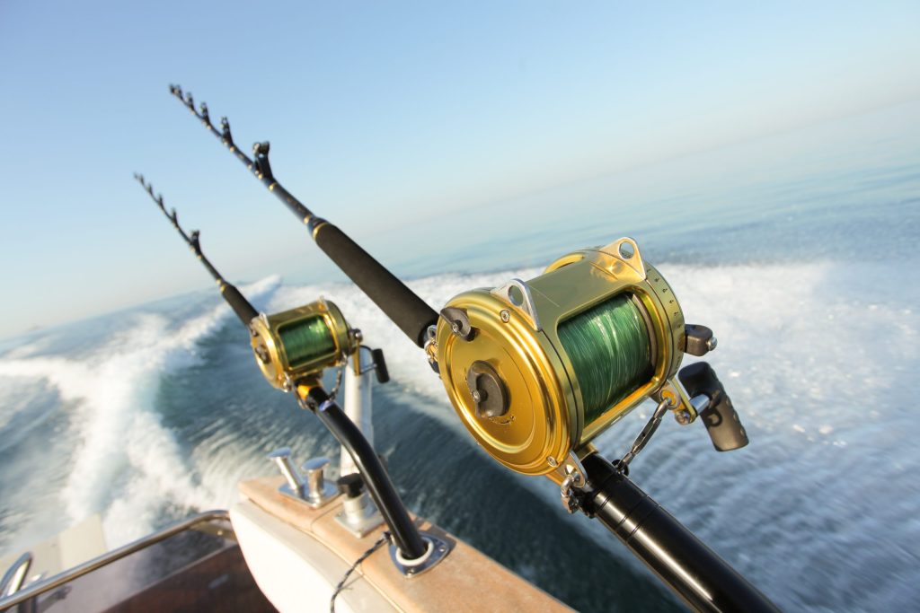 Cape Cod Tuna Charters: Reeling in Adventure with Cape Cod Charter Guys